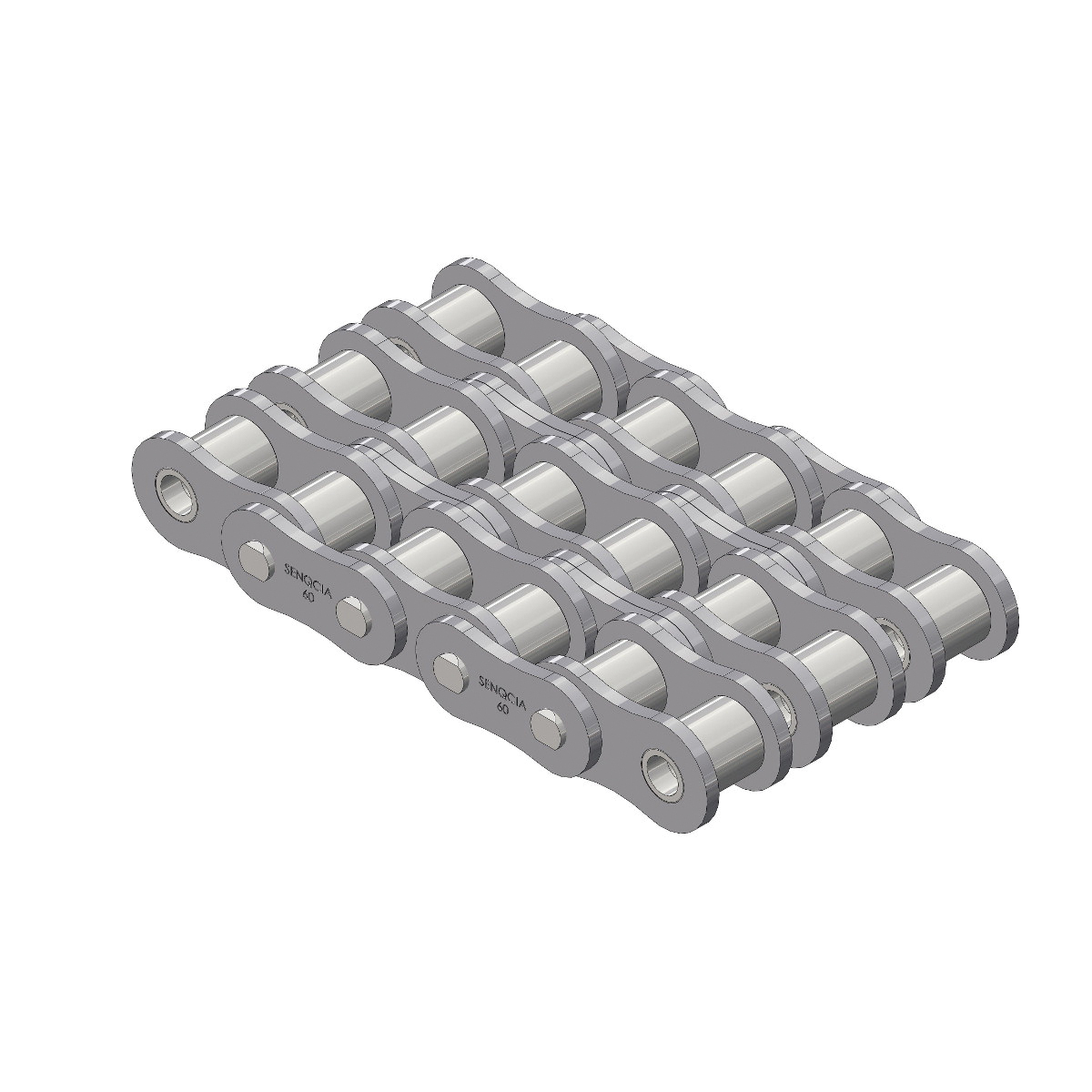  - Roller Chains